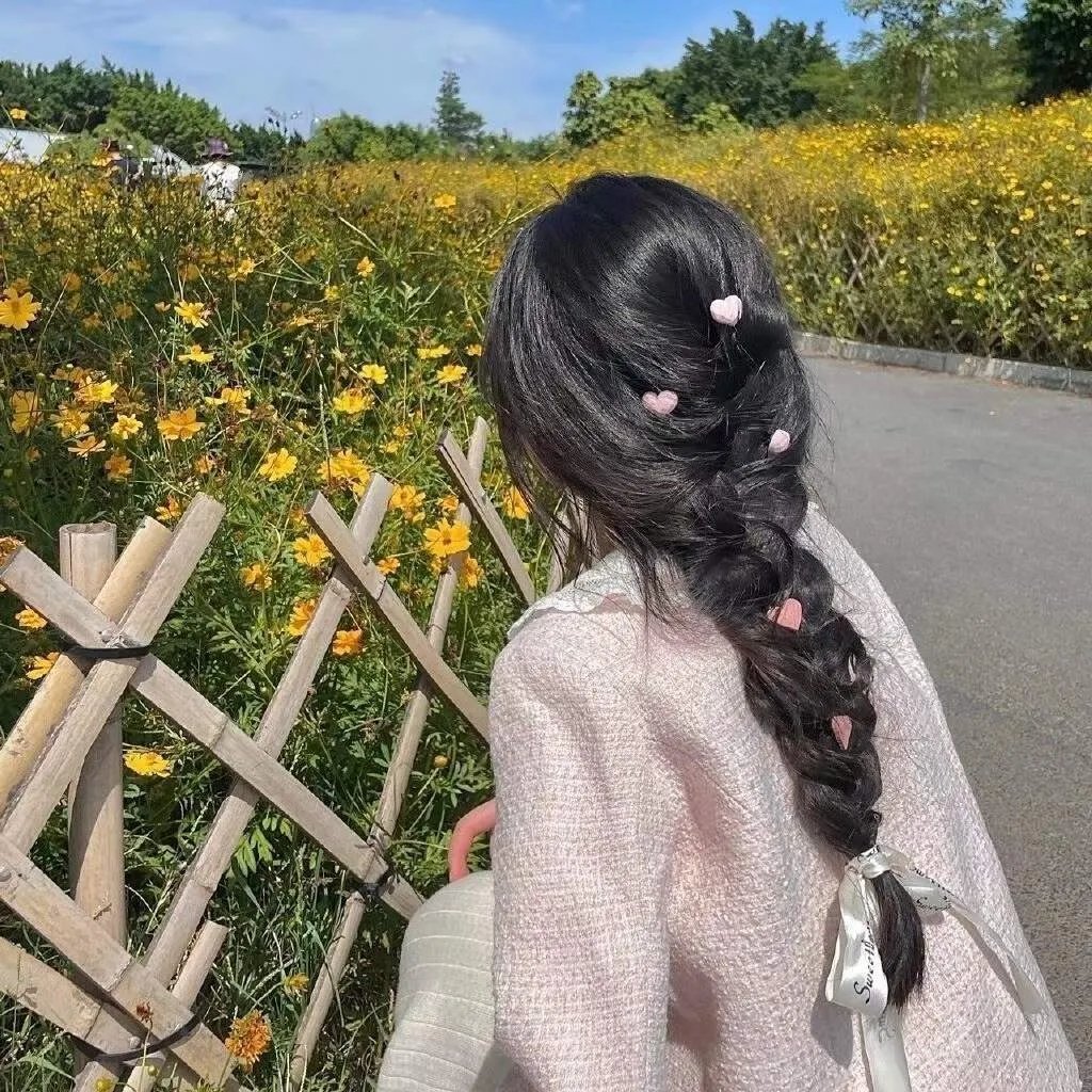 夏日的玫瑰