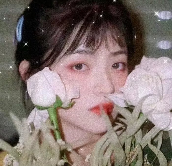 极地密码
